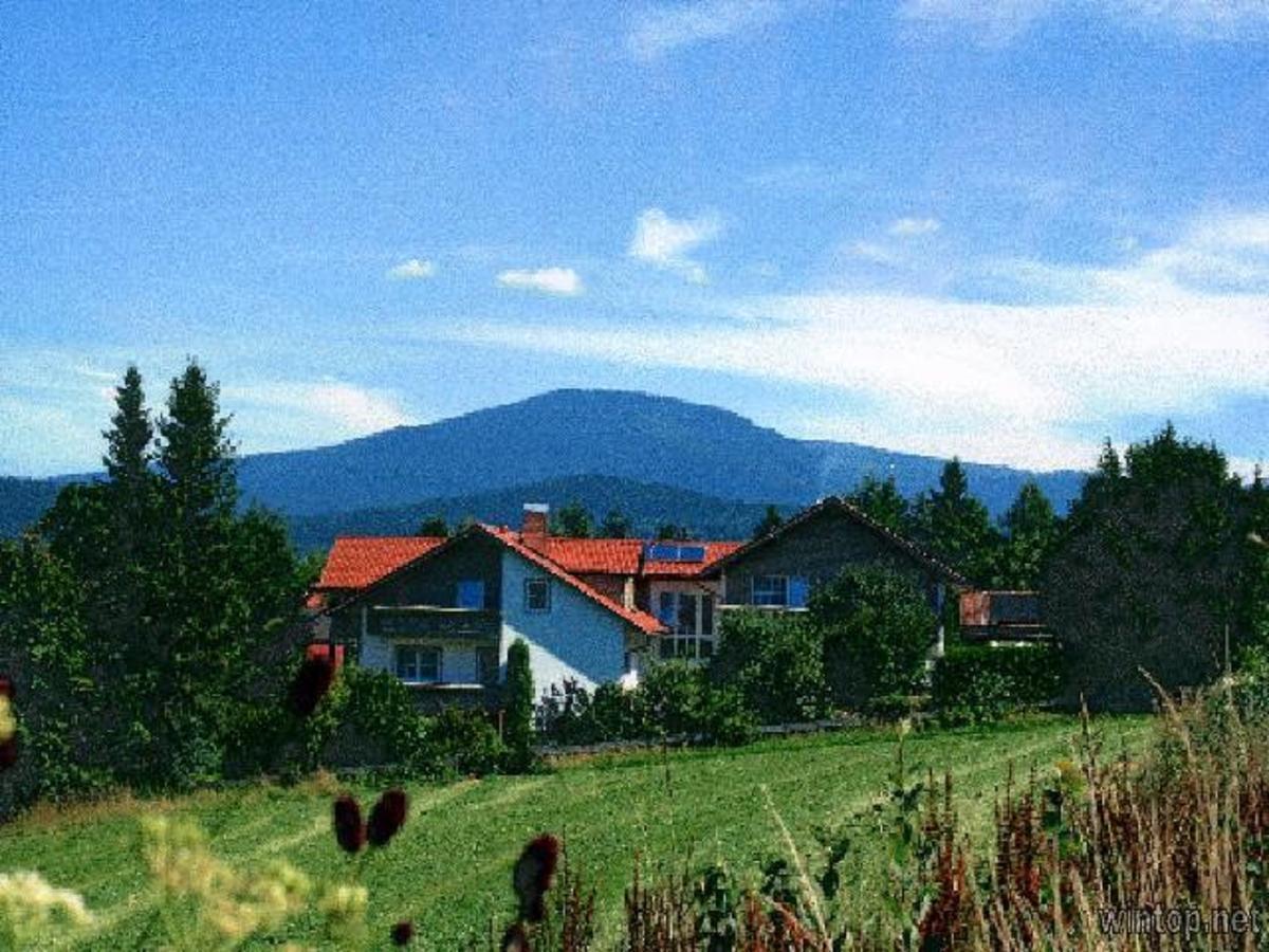 Pension Landhaus Hochfeld Zwiesel Eksteriør billede